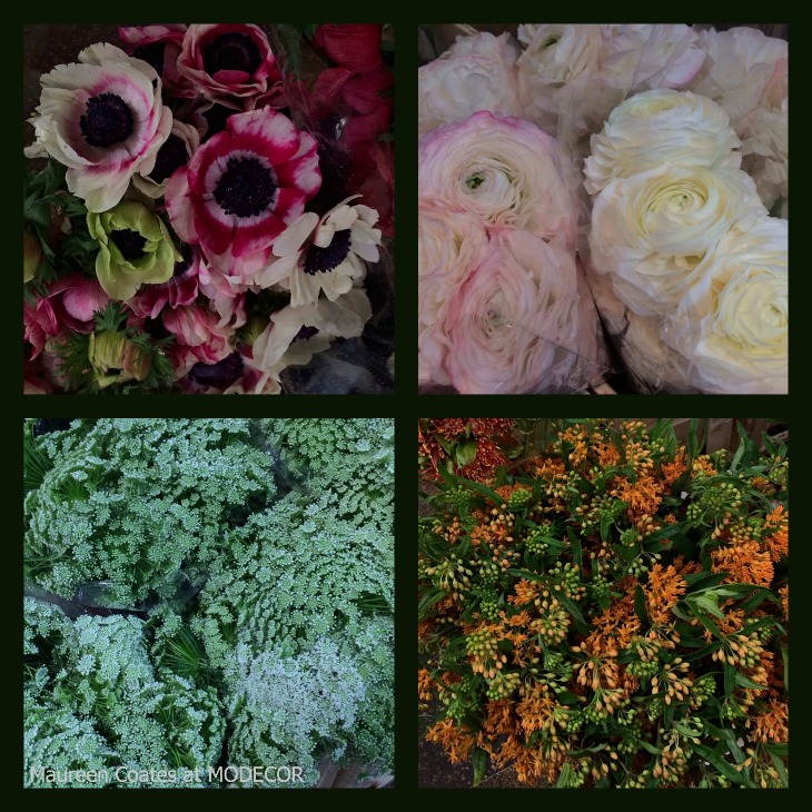 PicMonkey Collage.jpg.jpg 2